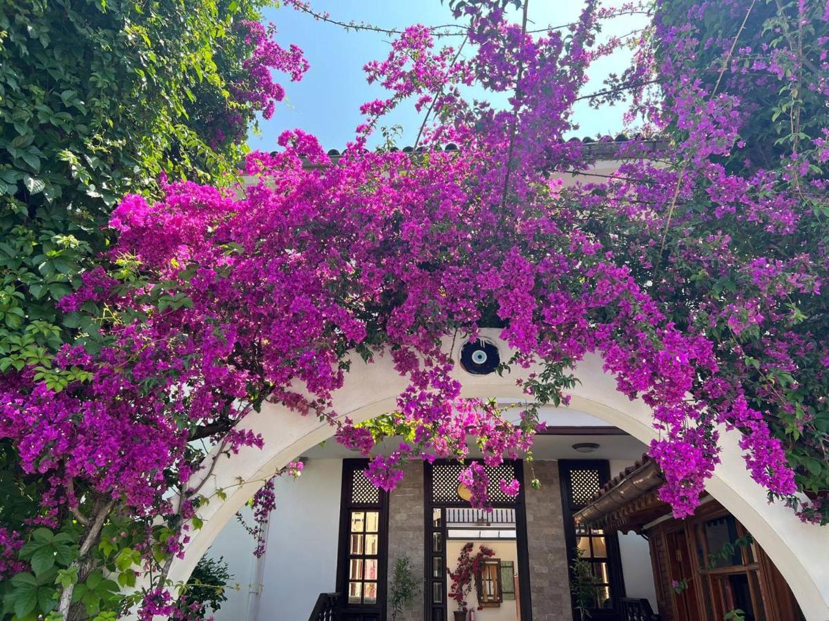 Palma Rosa Hotel Çamyuva Exteriör bild